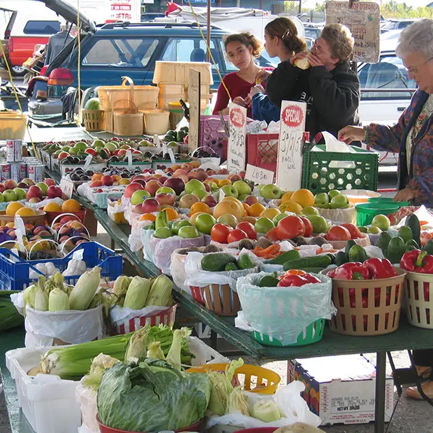 marche-public-encan-larose-03