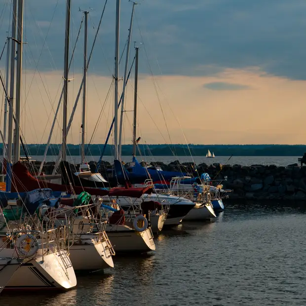 Marina Aylmer_Phil Tifo 1