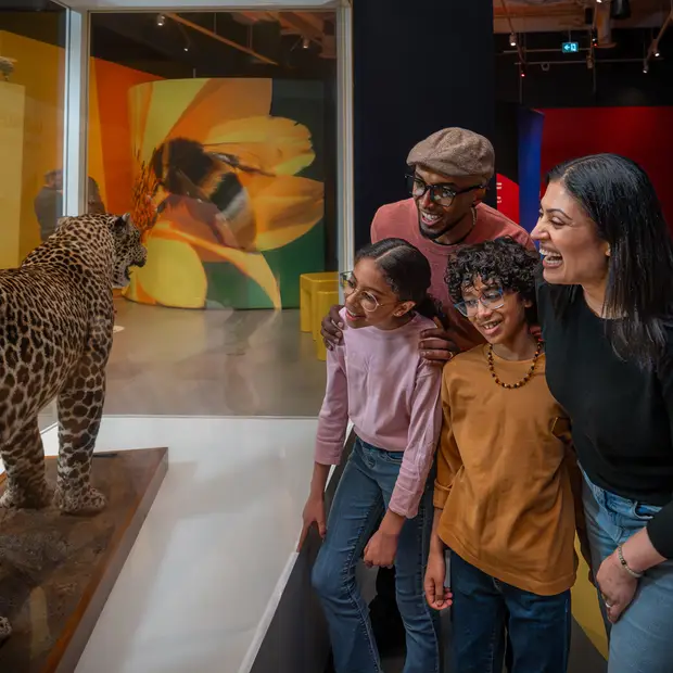 Musée canadien de la nature