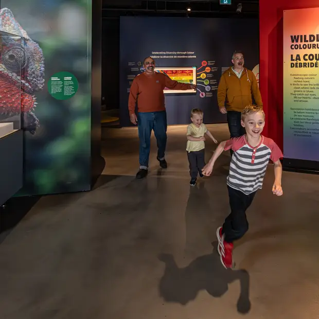 Musée canadien de la nature
