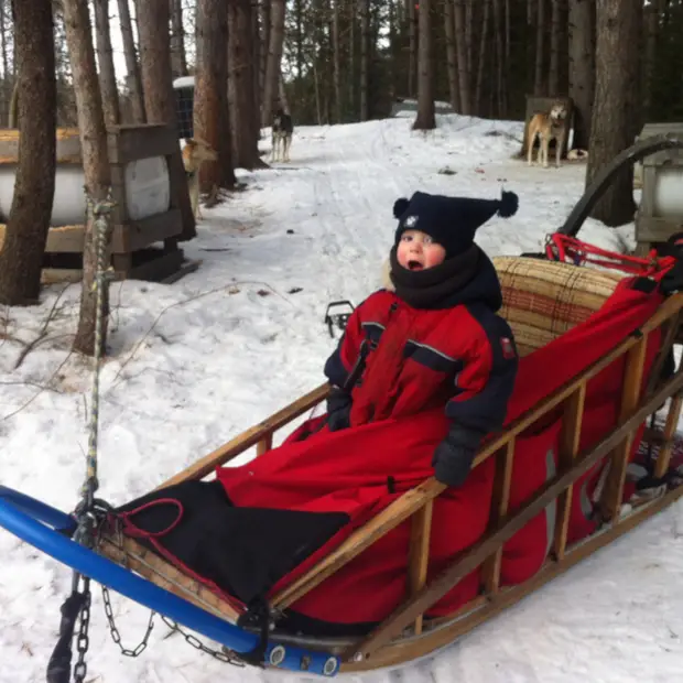  Comfortable sled