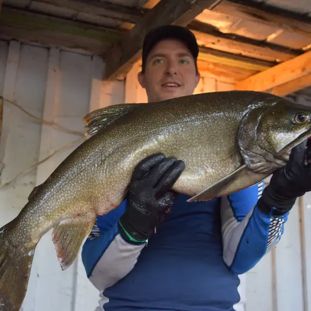 Mijocama - Gros poisson- LD