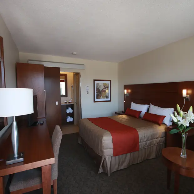 Chambre supérieure avec grand lit