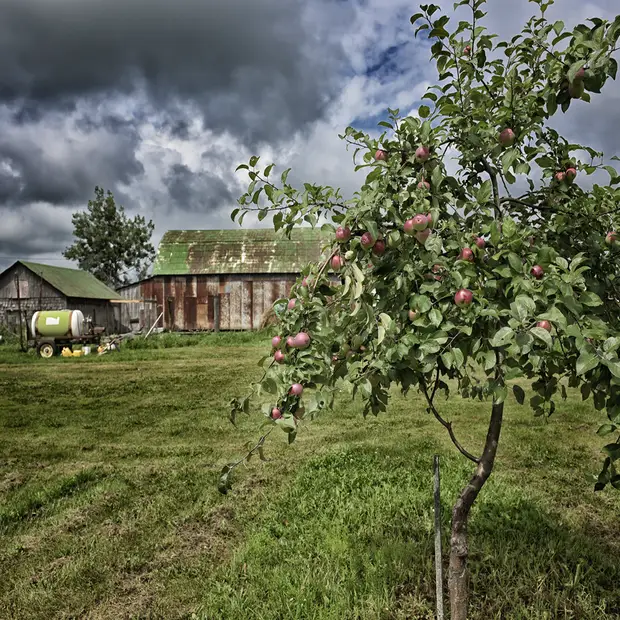 Cidrerie Coronation Hall