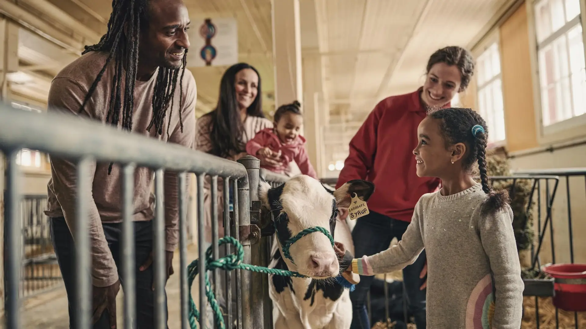 Blog Indoor family activities for dreary days