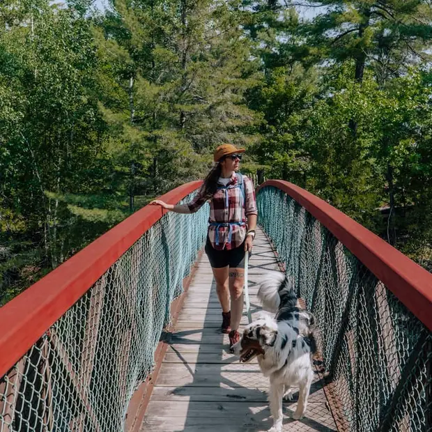 Summer Dog Walks in the Outaouais 