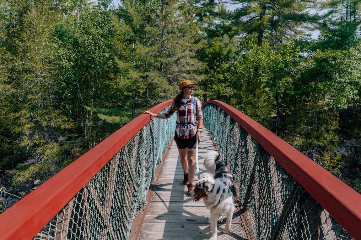 Blog Les randonnées estivales à faire avec son chien en Outaouais