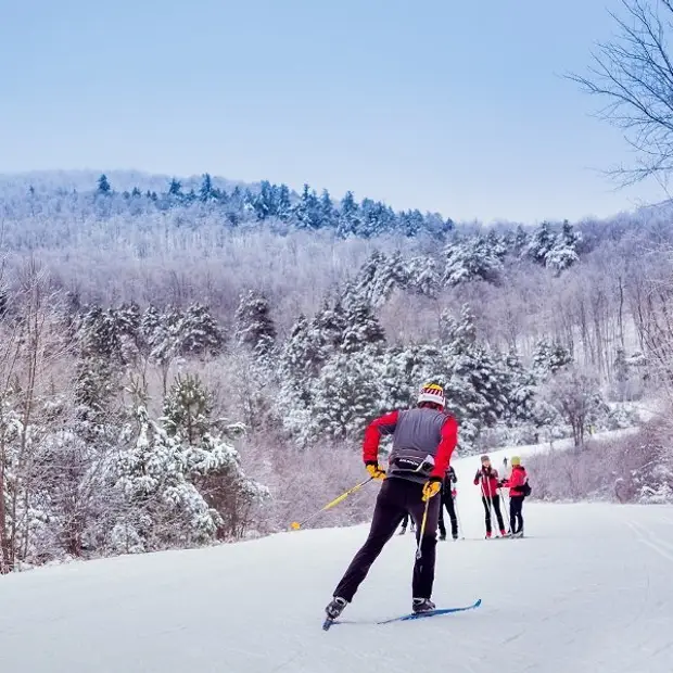 Cross-country ski trails
