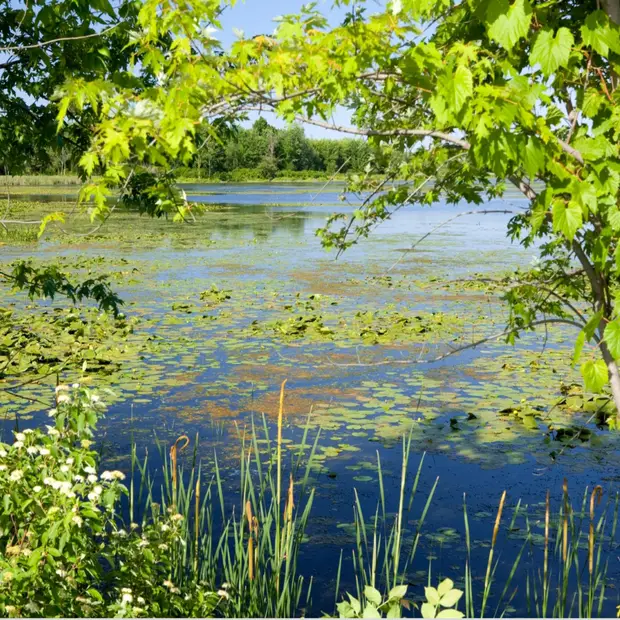 Plaisance National Park