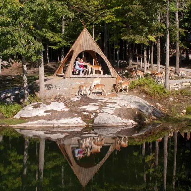 Aires de pique-nique