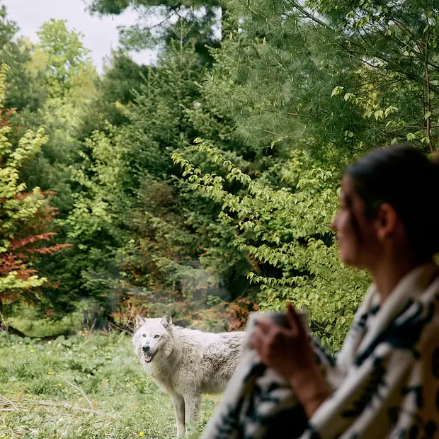 @Parc Omega - Hébergements (13)