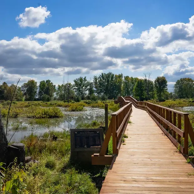 National and regional parks