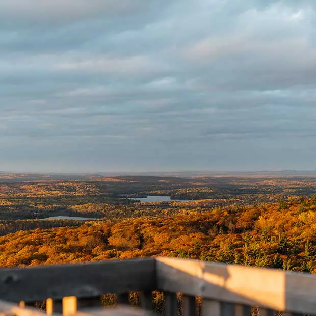 Parcs nationaux et régionaux