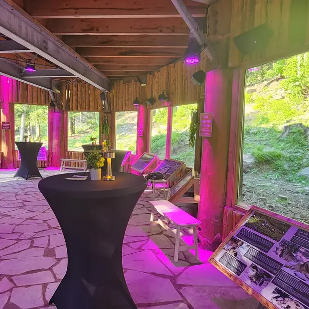 observatoire en format cocktail - Lumière