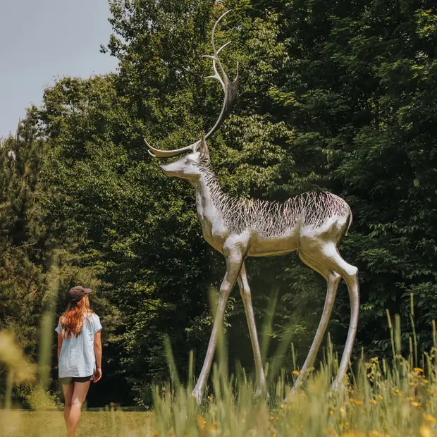 Photos par Camille Labonté - TO (libre de droit) (2)