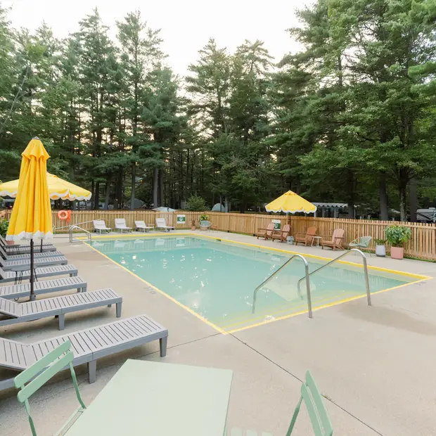 Piscine chauffée