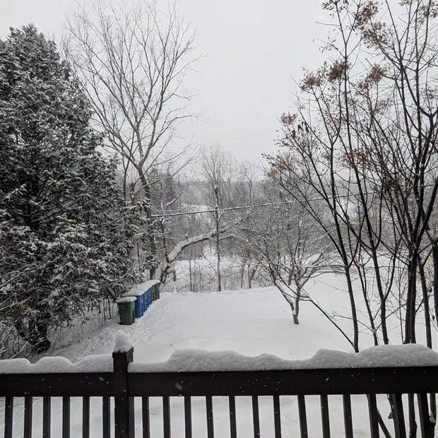 PXL_20251213_180301485