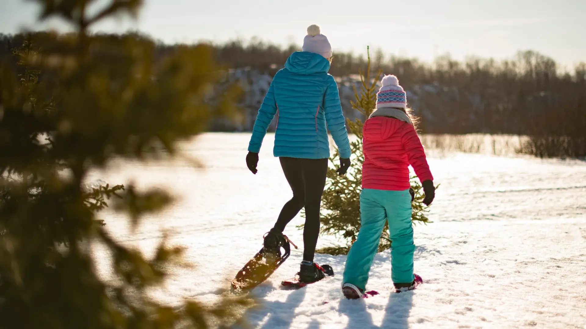 Blog Things to do over the holidays