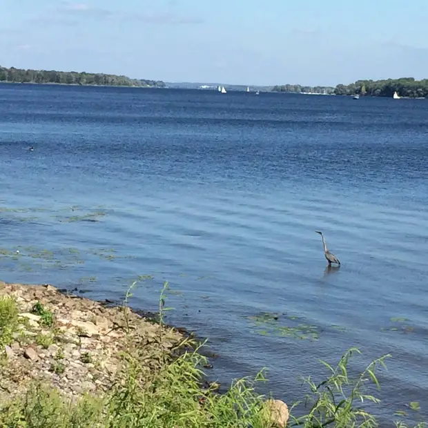 Rivière Gatineau, Outaouais