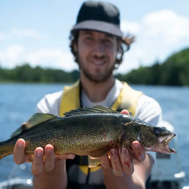 Walleye fishing