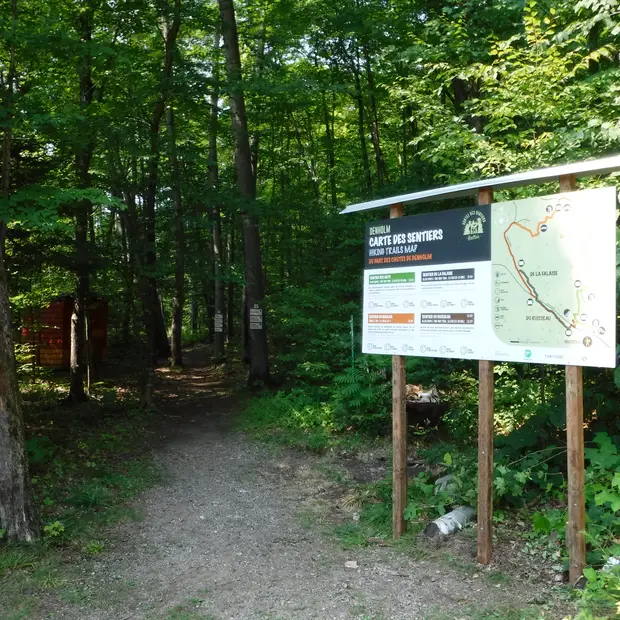 Sentiers du parc des chutes de Denholm_LD