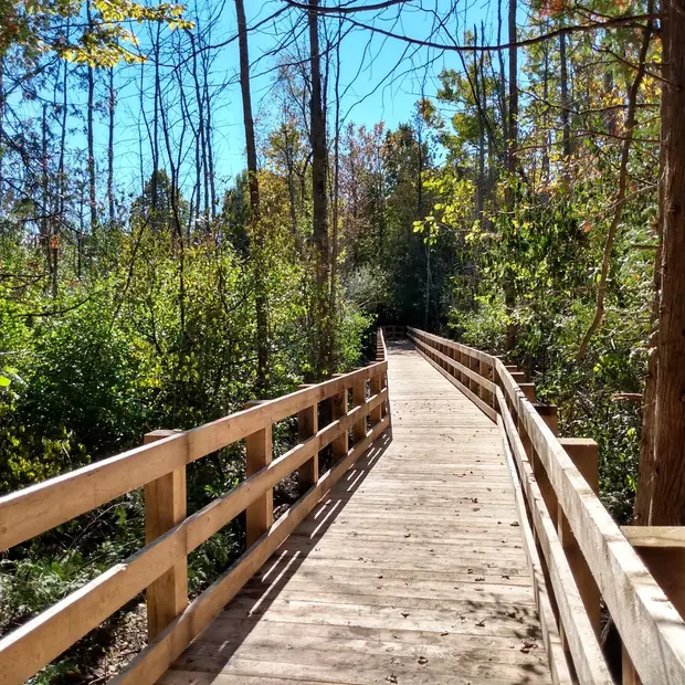 Sentiers - Octobre 2021 (1)