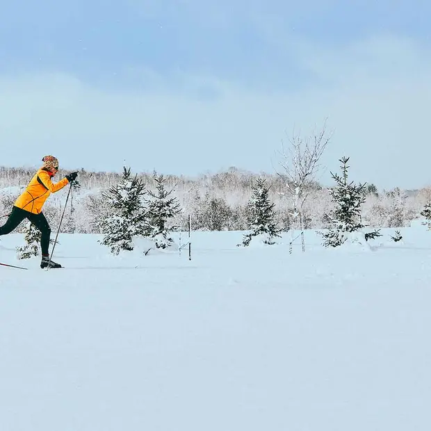 Cross-country skiing and snowshoeing