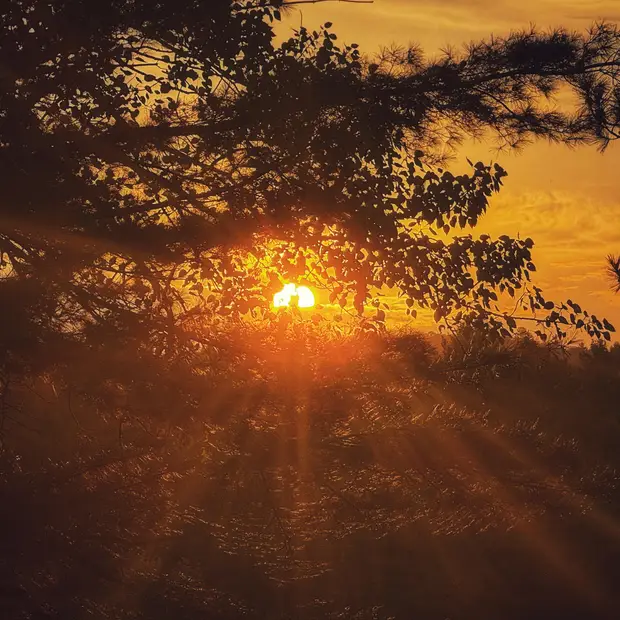 Sunset view / vue du coucher du soleil