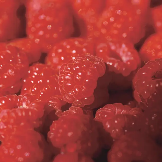 Raspberries