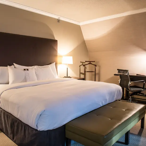 YOWAR_ExecutiveSuite